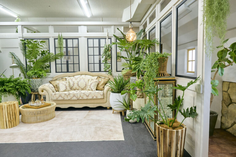 スタジオベガ温室スタジオ